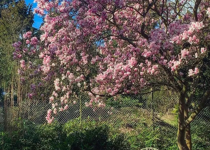 公寓 Nostalgie-loft